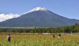 日本富士山火山最新爆料,监测揭示潜在喷发征兆