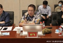叶飞最新爆料股江中制药,揭开神秘面纱，探寻企业真实面貌