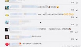cat最新爆料,揭秘猫咪不为人知的秘密生活